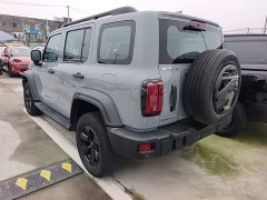 Tank 300 Off-Road Edition 2.0T Conqueror - ფოტო 5