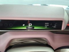 XPeng P7 750 AWD High Performance Ultra - ფოტო 12