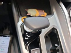 Geely Xingrui 2.0T Diesel Exclusive Cyan Green Edition - ფოტო 14