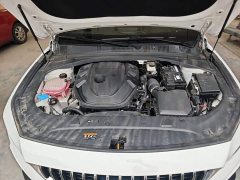 Geely Xingrui 2.0T Diesel Exclusive Cyan Green Edition - ფოტო 20