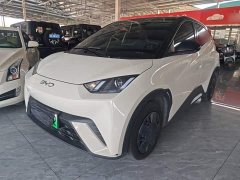 BYD Seagull Glory Edition 305km Freedom Version - ფოტო 1