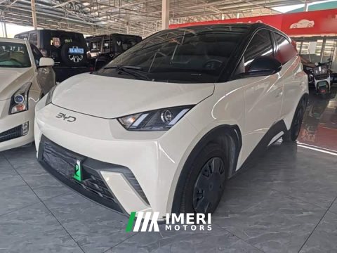 2024 BYD Seagull Glory Edition 305km Freedom Version - ავტომობილი ჩინეთიდან