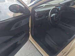 BYD Seagull Glory Edition 305km Freedom Version - ფოტო 16