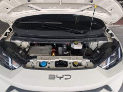 BYD Seagull Glory Edition 305km Freedom Version - ფოტო 20