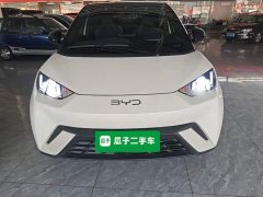 BYD Seagull Glory Edition 305km Freedom Version - ფოტო 3