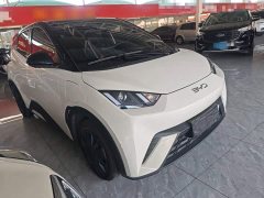 BYD Seagull Glory Edition 305km Freedom Version - ფოტო 4