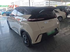 BYD Seagull Glory Edition 305km Freedom Version - ფოტო 5