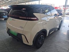 BYD Seagull Glory Edition 305km Freedom Version - ფოტო 7