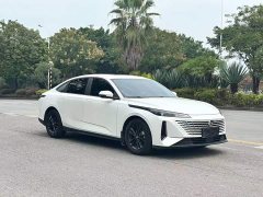 Changan Yida Blue Whale NE 1.5T GDI DCT Premium - ფოტო 4