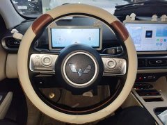 Wuling Binguo PLUS 2024 330km 5-Seater - ფოტო 11