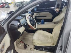 Wuling Binguo PLUS 2024 330km 5-Seater - ფოტო 15