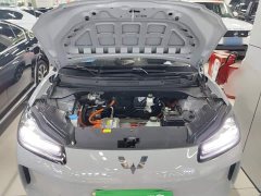 Wuling Binguo PLUS 2024 330km 5-Seater - ფოტო 20