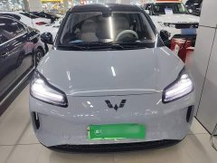 Wuling Binguo PLUS 2024 330km 5-Seater - ფოტო 3