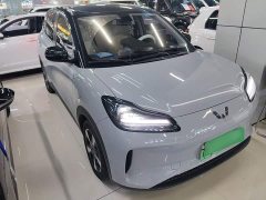 Wuling Binguo PLUS 2024 330km 5-Seater - ფოტო 4