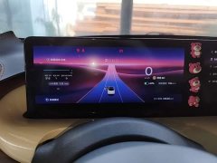 Wuling Binguo 333km Lingxi Connected Plus - ფოტო 12