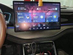BYD Tang New Energy 2021 DM-i 112KM Premium Edition - ფოტო 13