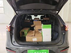 BYD Tang New Energy 2021 DM-i 112KM Premium Edition - ფოტო 19