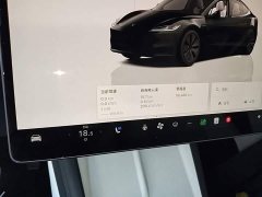Tesla Model 3 Rear-Wheel Drive - ფოტო 12