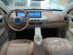 Wuling Binguo 2025 333km Joy Edition - ფოტო 10