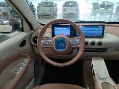 Wuling Binguo 2025 333km Joy Edition - ფოტო 11