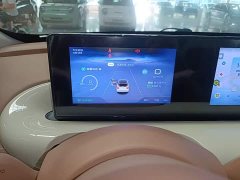 Wuling Binguo 2025 333km Joy Edition - ფოტო 12
