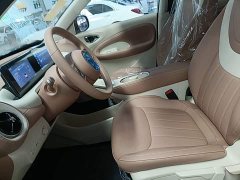 Wuling Binguo 2025 333km Joy Edition - ფოტო 15