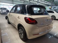 Wuling Binguo 2025 333km Joy Edition - ფოტო 5