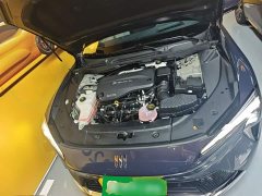 Buick Zhijing L7 Extended Range Avvia - ფოტო 20