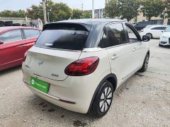 Wuling Binguo 203km Comfort Edition - ფოტო 7