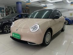 ORA Good Cat 2021 400km Standard Range Muse Edition LFP Battery - ფოტო 1