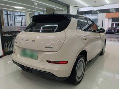 ORA Good Cat 2021 400km Standard Range Muse Edition LFP Battery - ფოტო 7