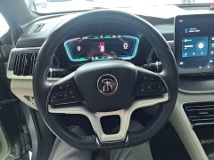 BYD Song Plus New Energy 2021 EV Premium - ფოტო 11