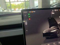 Tesla Model 3 Rear-Wheel Drive - ფოტო 14