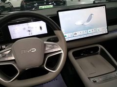 BYD Haima Sealion 06 DM-i 205 Pilot Pro - ფოტო 14