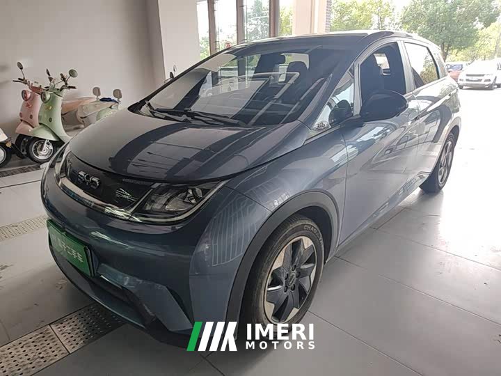 BYD Dolphin Glory Edition 420km Freedom Version - ავტომობილი ჩინეთიდან