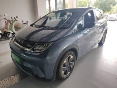 BYD Dolphin Glory Edition 420km Freedom Version - ფოტო 1