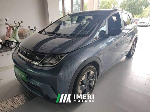 2024 BYD Dolphin Glory Edition 420km Freedom Version