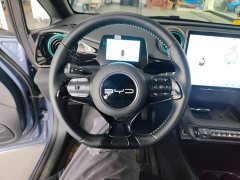 BYD Dolphin Glory Edition 420km Freedom Version - ფოტო 11
