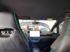 BYD Dolphin Glory Edition 420km Freedom Version - ფოტო 18