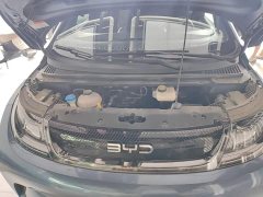 BYD Dolphin Glory Edition 420km Freedom Version - ფოტო 20
