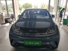 BYD Dolphin Glory Edition 420km Freedom Version - ფოტო 3