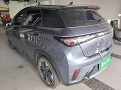 BYD Dolphin Glory Edition 420km Freedom Version - ფოტო 5