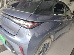 BYD Dolphin Glory Edition 420km Freedom Version - ფოტო 8