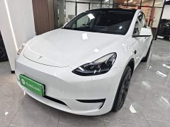 Tesla Model Y Rear-Wheel Drive - ფოტო 1