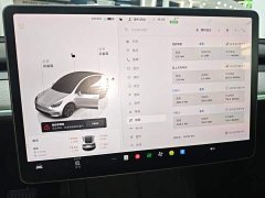 Tesla Model Y Rear-Wheel Drive - ფოტო 12
