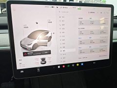 Tesla Model Y Rear-Wheel Drive - ფოტო 13