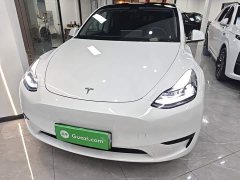 Tesla Model Y Rear-Wheel Drive - ფოტო 3