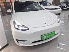 Tesla Model Y Rear-Wheel Drive - ფოტო 4