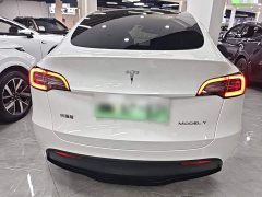Tesla Model Y Rear-Wheel Drive - ფოტო 6