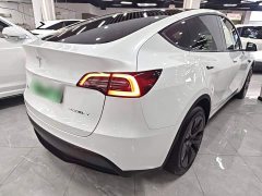 Tesla Model Y Rear-Wheel Drive - ფოტო 7